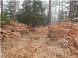 Skaručna - Smledniški hrib (Stari grad)
